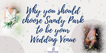 wedding banner graphic.png