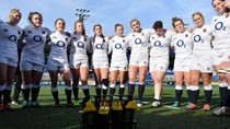 Guide to the Red Roses at Sandy Park